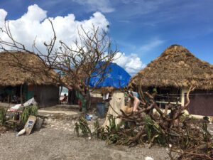 Intact straw roofs